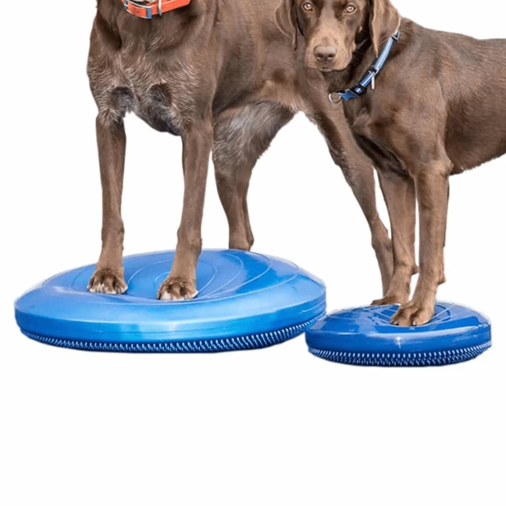 FitPAWS Dierenbalansschijf 36 cm blauw