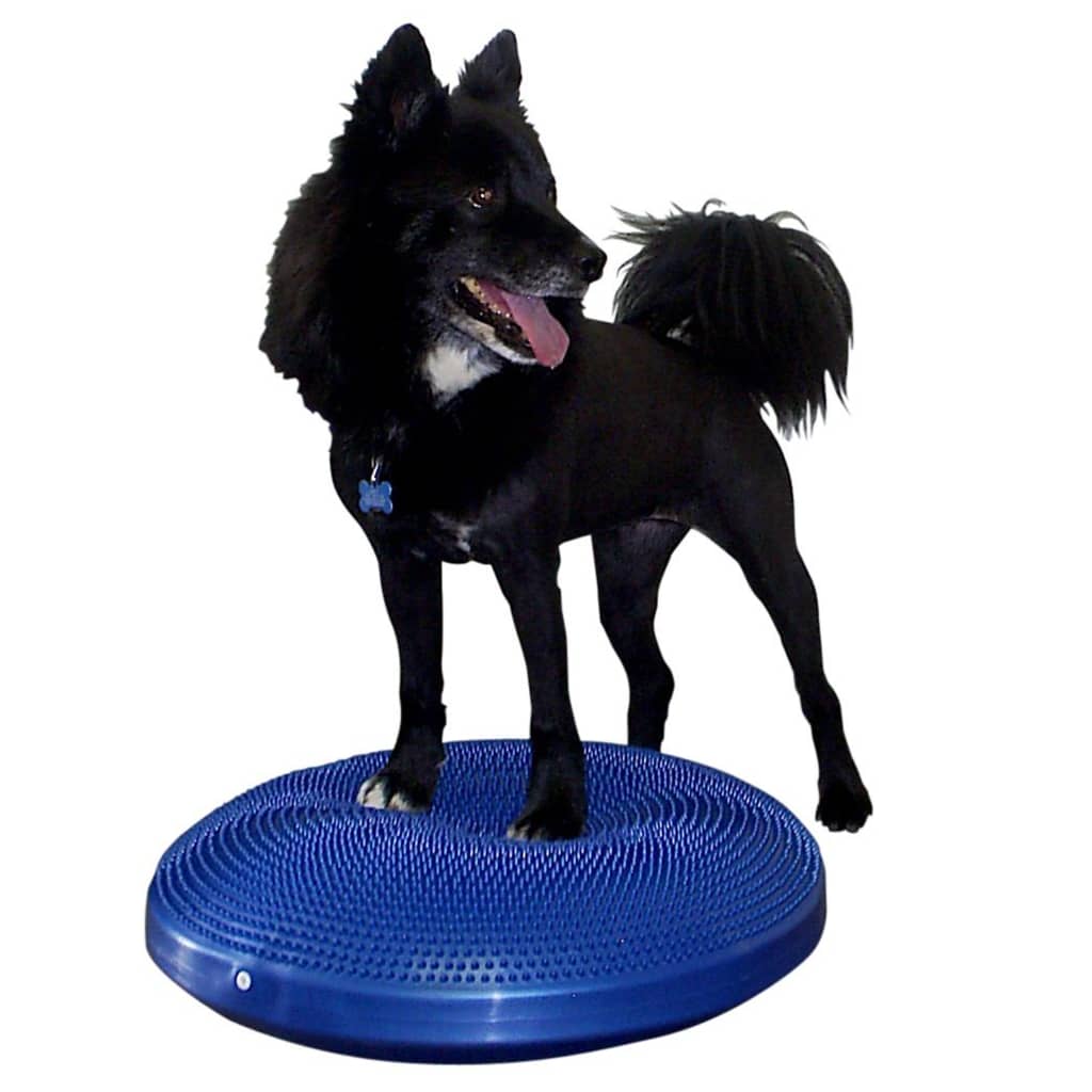 FitPAWS Dierenbalansschijf 56 cm blauw