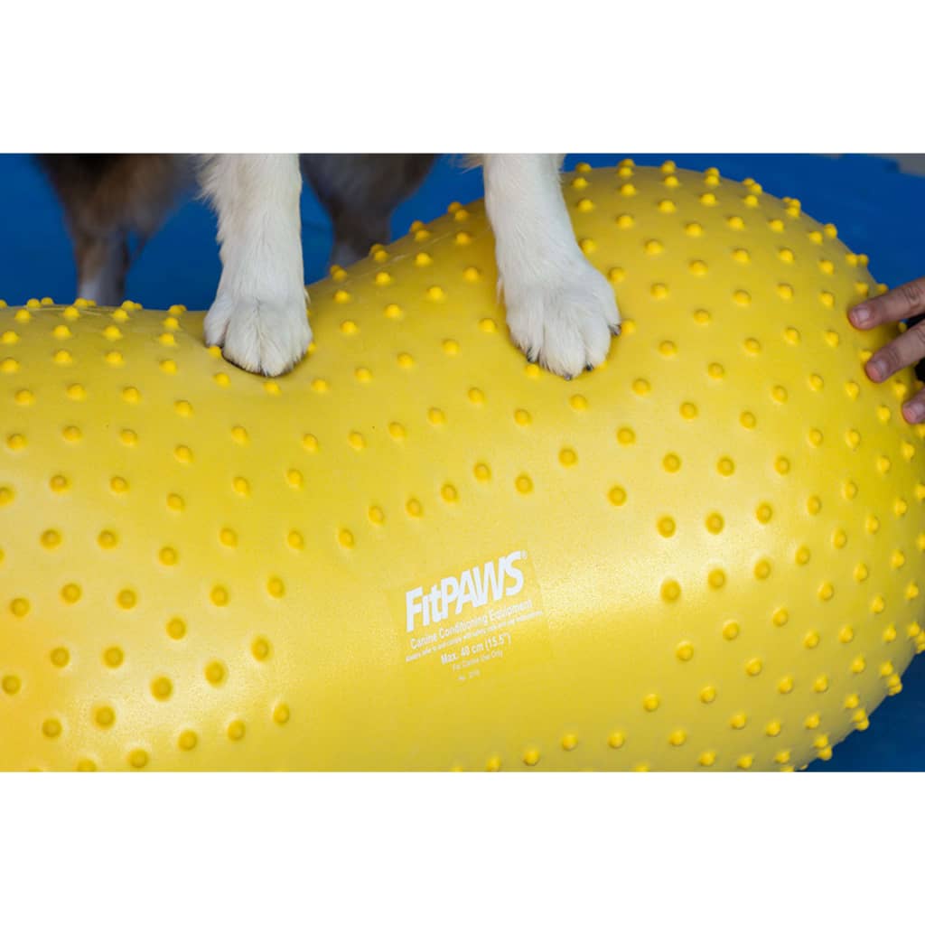 FitPAWS Dierenbalansplatform Trax Peanut 40 cm geel