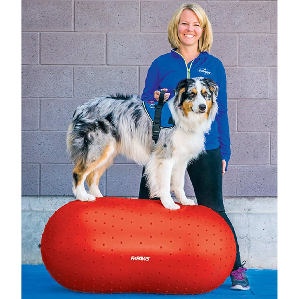 FitPAWS Dierenbalansplatform Trax Peanut 50 cm rood