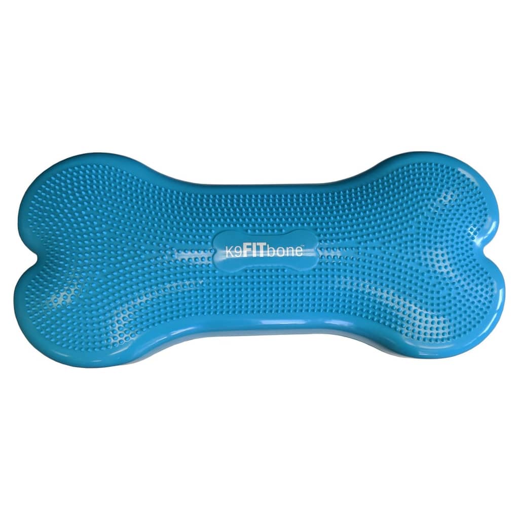 FitPAWS Dierenbalansplatform Giant K9FITbone PVC zeeblauw