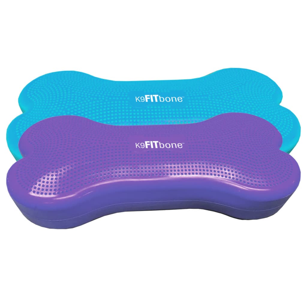 FitPAWS Dierenbalansplatform Giant K9FITbone PVC zeeblauw