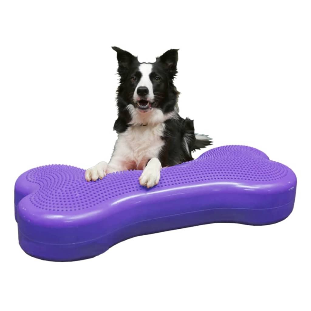 FitPAWS Dierenbalansplatform Giant K9FITbone PVC violet