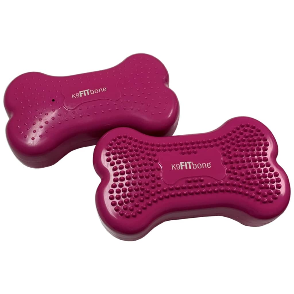 FitPAWS Dierenbalansplatformen 2 st Mini K9FITbone 29x16,5x6 cm