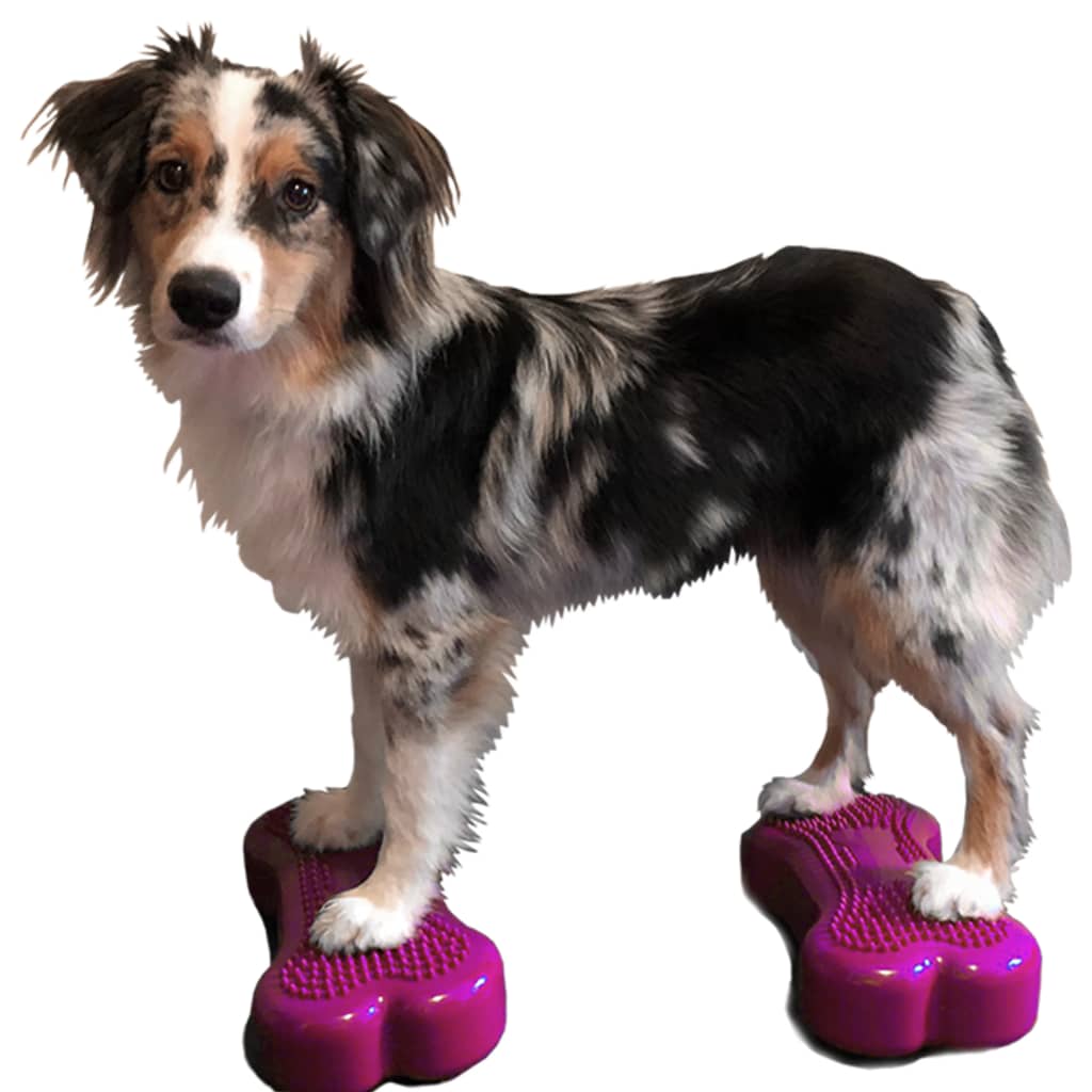 FitPAWS Dierenbalansplatformen 2 st Mini K9FITbone 29x16,5x6 cm