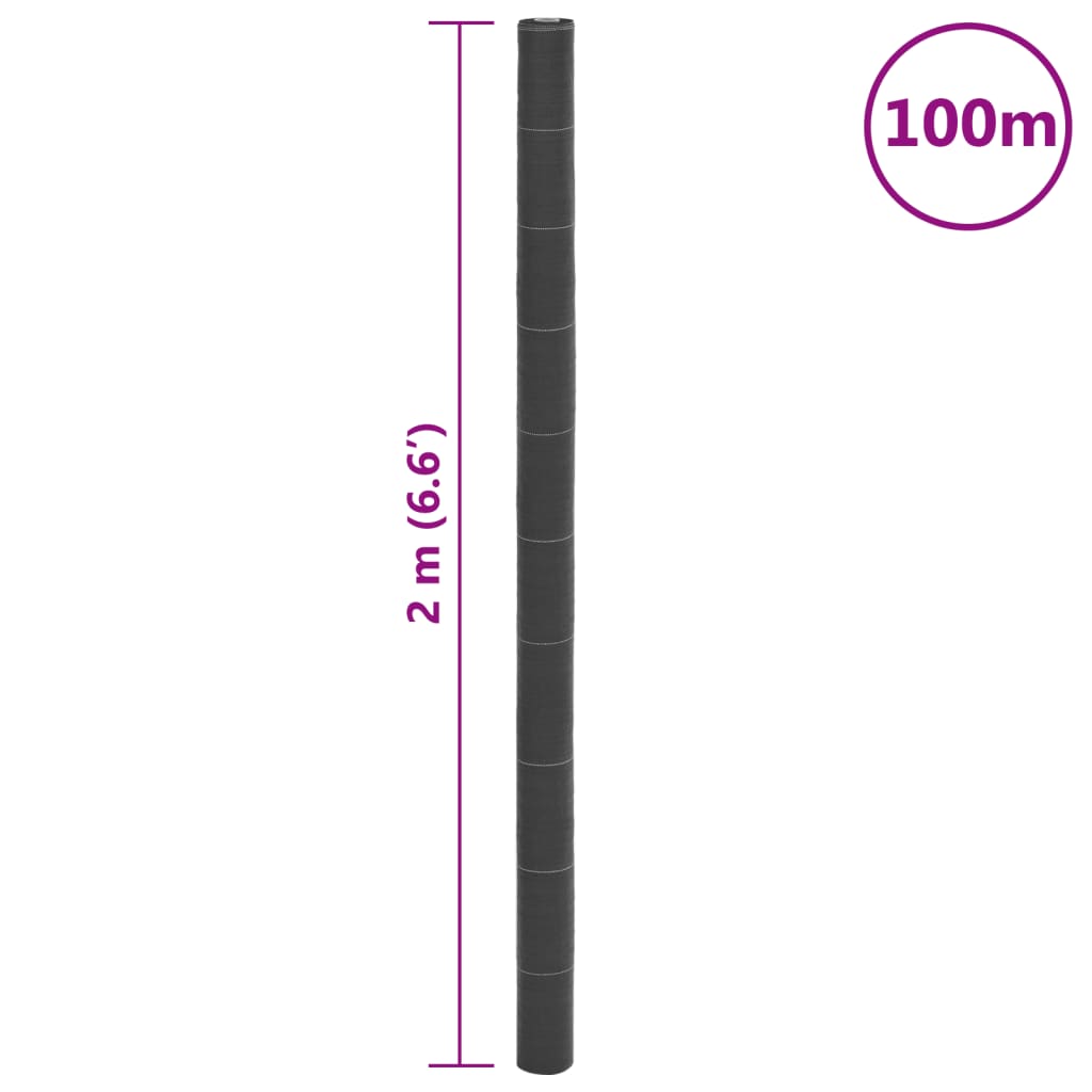 Worteldoek 2x100 m polypropeen zwart